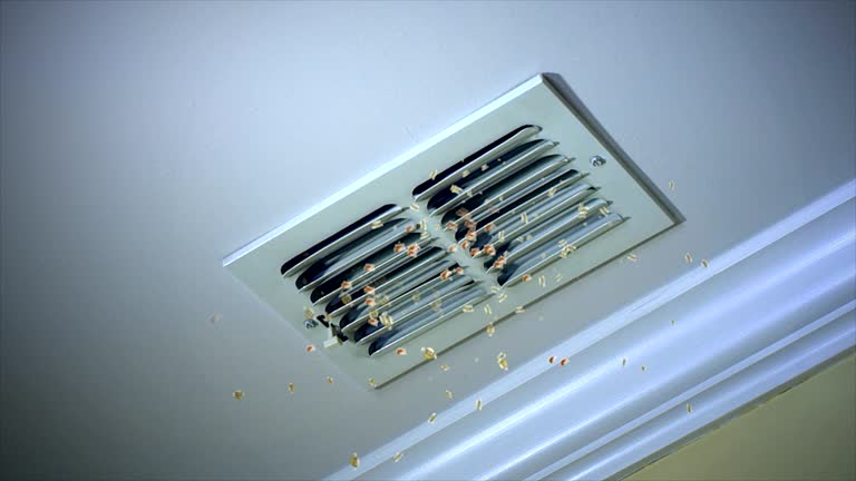 Best Air Vent Cleaning Services  in Fort Knox, KY